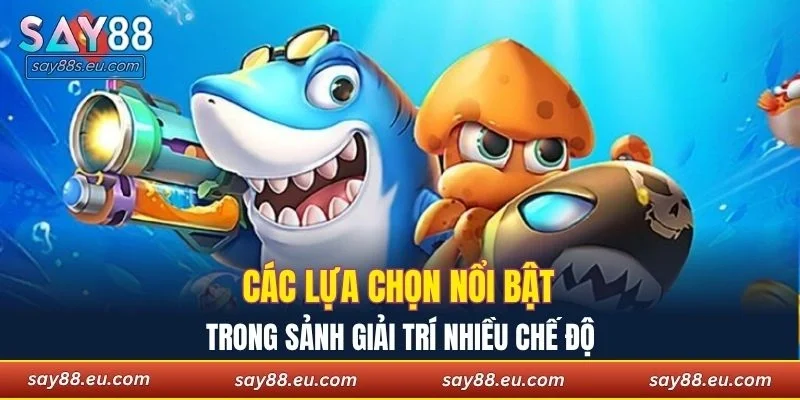 Các lựa chọn nổi bật trong sảnh giải trí nhiều chế độ