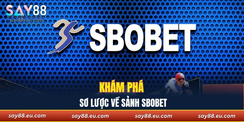 Khám phá sơ lược về sảnh Sbobet