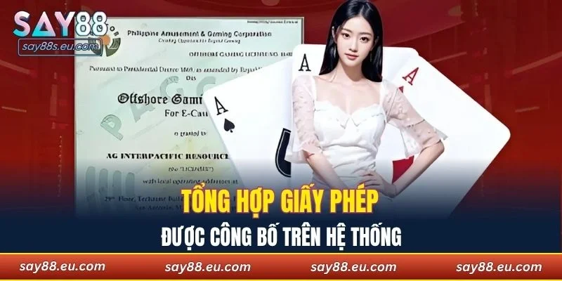 Tổng hợp giấy phép hoạt động được công bố trên hệ thống